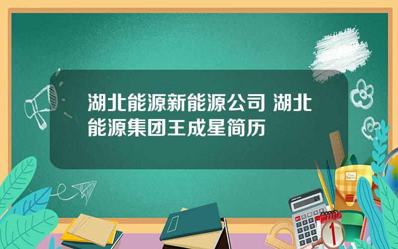 湖北能源新能源公司 湖北能源集团王成星简历